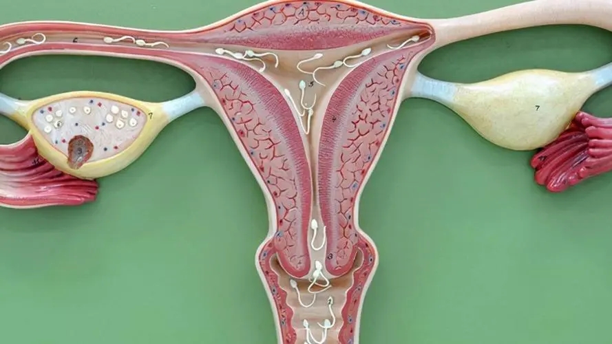 中国第一批“上环”的女性，医生直言：30年了，难逃出这4种结局