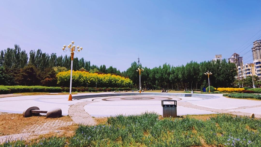 养狗人的视频,养狗人皮肤过敏的症状和表现