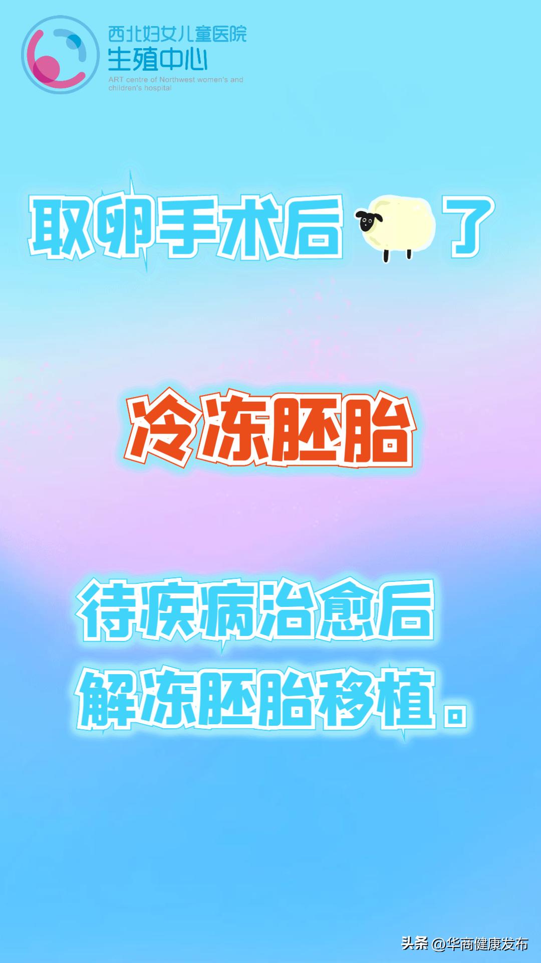 试管婴儿助孕是什么,试管婴儿助孕治疗