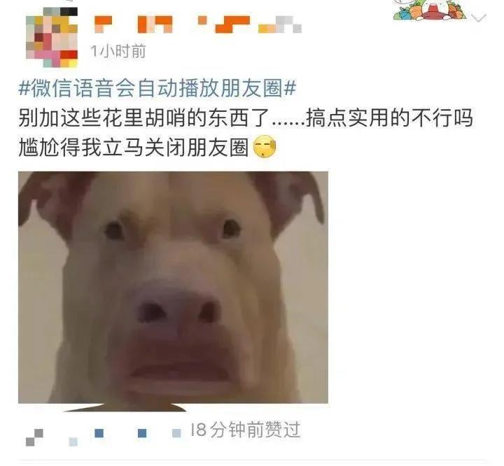 微信太吃内存了怎么办,关于微信吃内存问题的解决方法