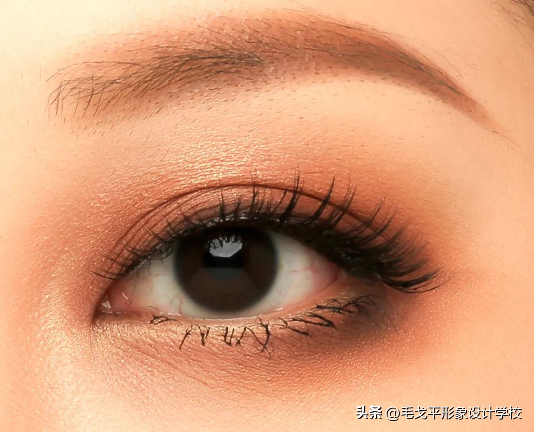 初学者实用化妆刷全套,新手化妆刷用法介绍8支