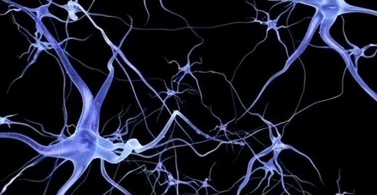 人类文明进化方向,人类进化的终极方向