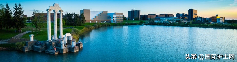 美国纽约本科护理学校,留学纽约州立大学护理专业