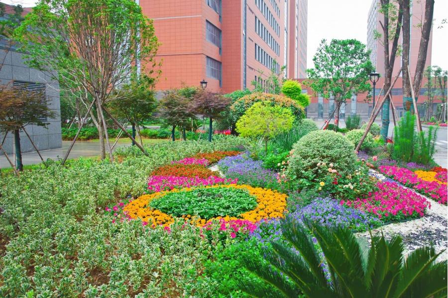 南昌大学第一附属医院象湖分院发展,南昌象湖第一附属医院周边规划