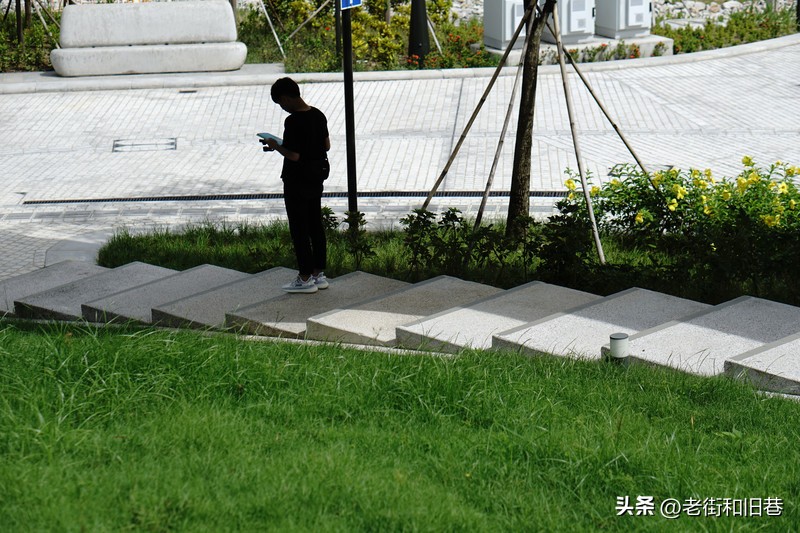 罗生门和黄粱梦,罗生门香港live