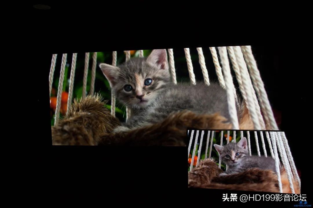 jvcn98和jvcn118实际效果差别大吗,jvcn118配什么幕布