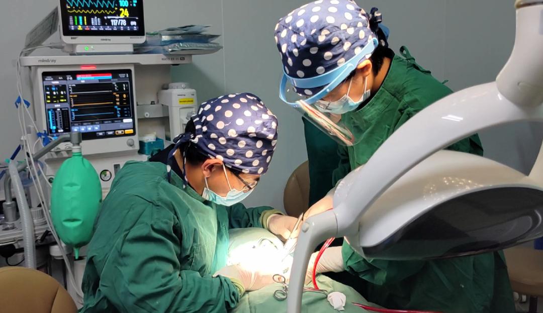 俞熔富豪榜排名,俞熔富豪榜