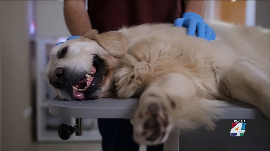 夏季高温中暑事件,高温中暑死亡事件预警