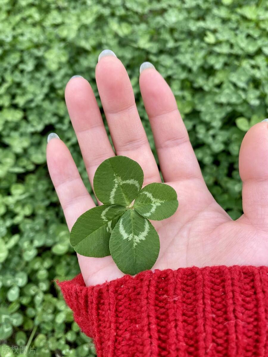 苏州路人起哄男子轻生,苏州小伙在楼顶欲轻生