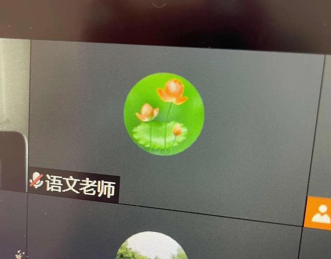 网课头像笑死,网课老师搞笑头像