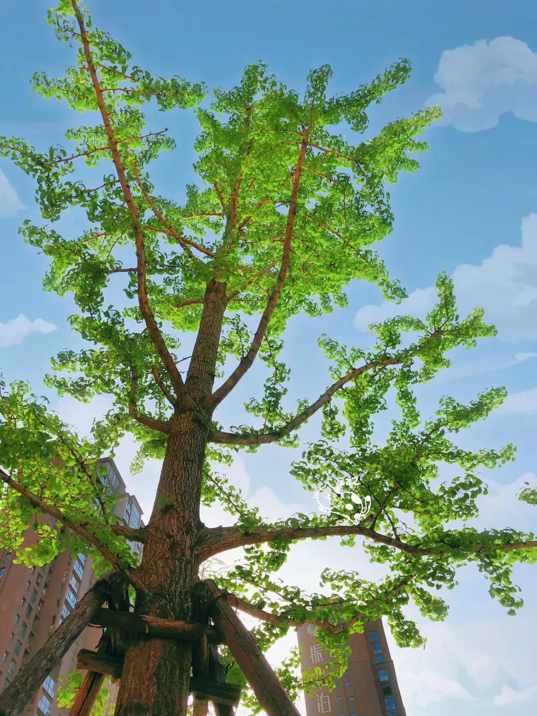 情感论坛情感天地,情感电台