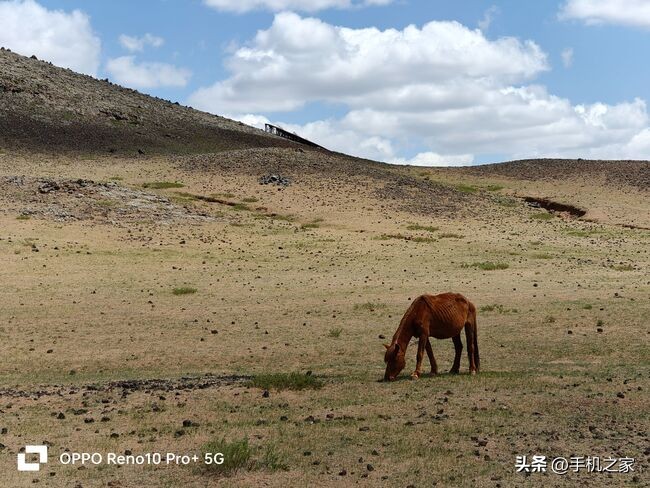 opporeno10pro体验效果视频,opporeno10pro+使用体验