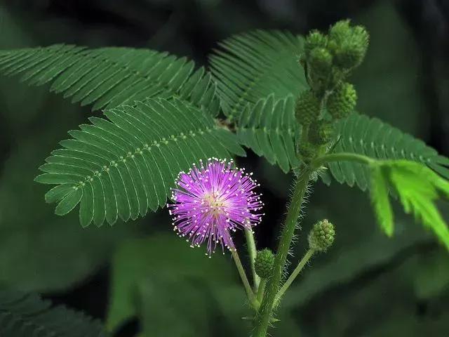 人为什么要照顾好自己的身体,照顾好自己的身体就是赚钱