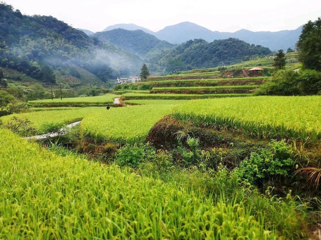 安徽大山深处的古村落美女,安徽富硒村旅游攻略