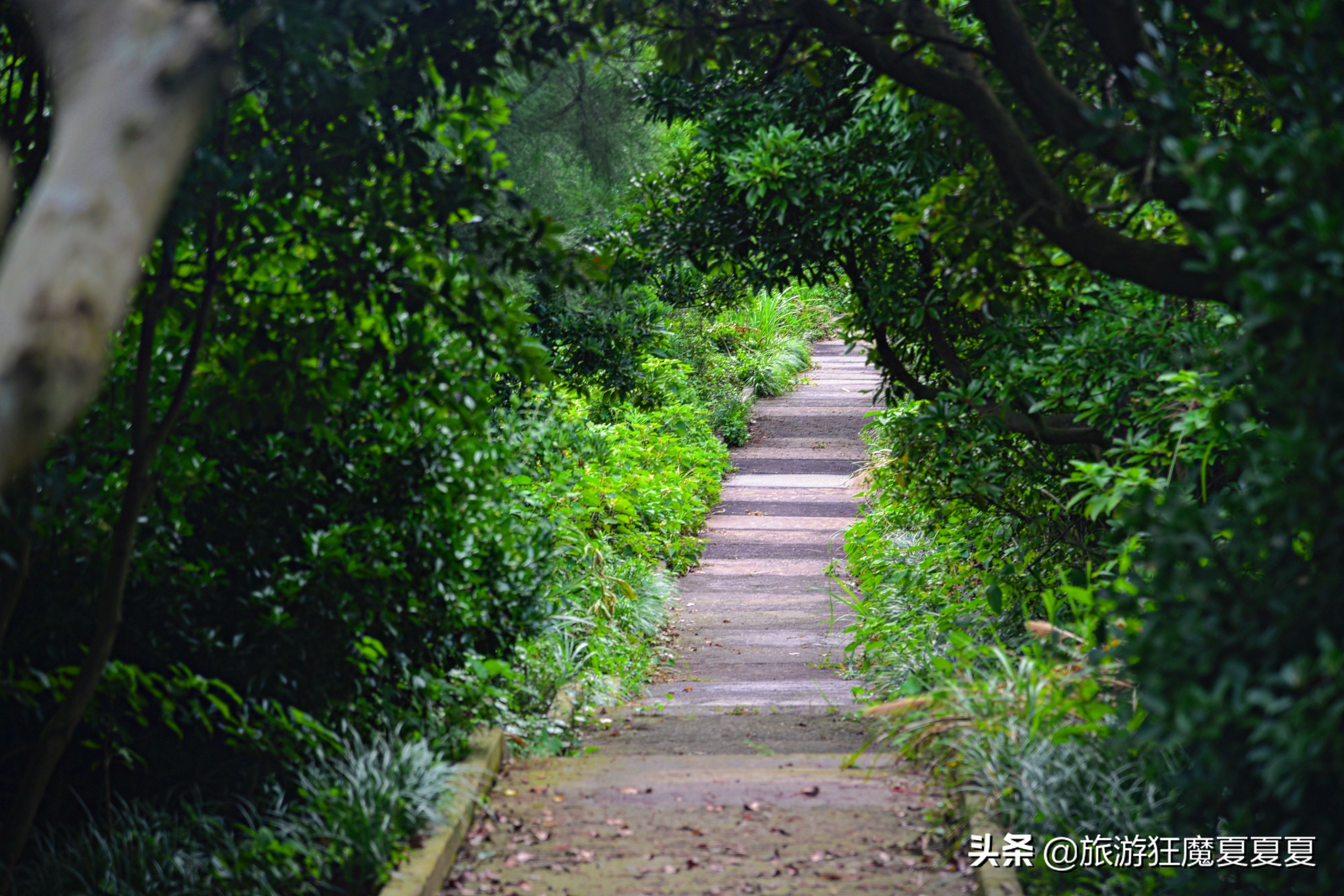 承包一个海岛可以吗,可以承包海岛沙滩吗
