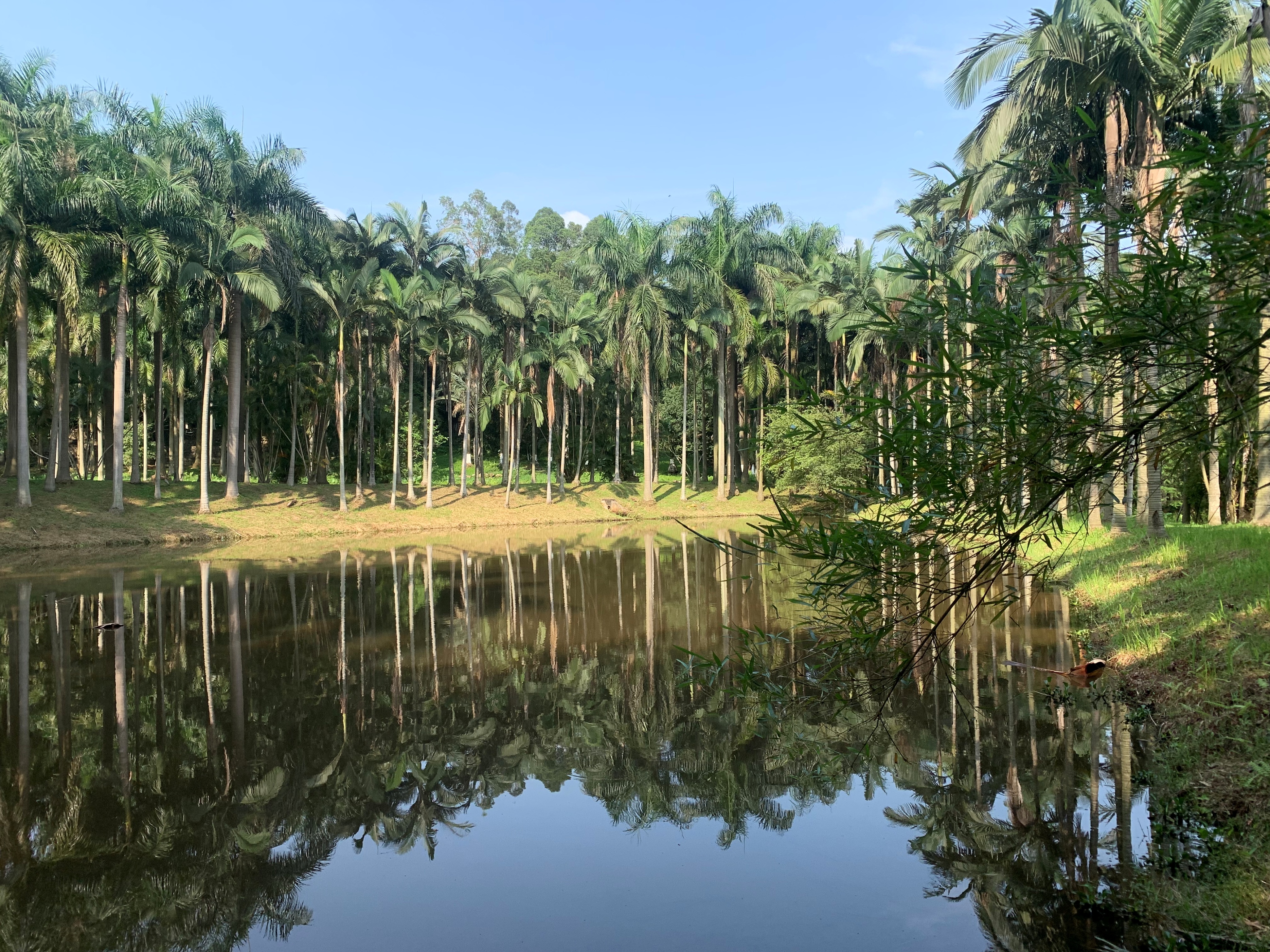大夫山一日游自由行,大夫山一日游周记
