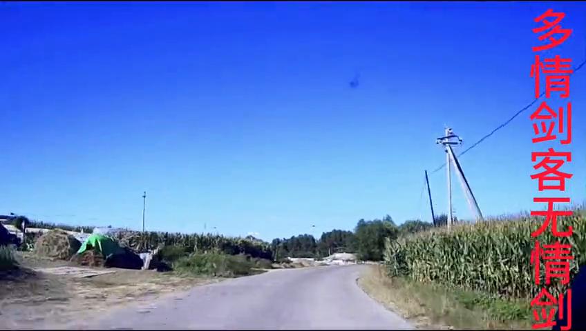 紫微斗数三卷白话文解析,紫微斗数三十六星详解