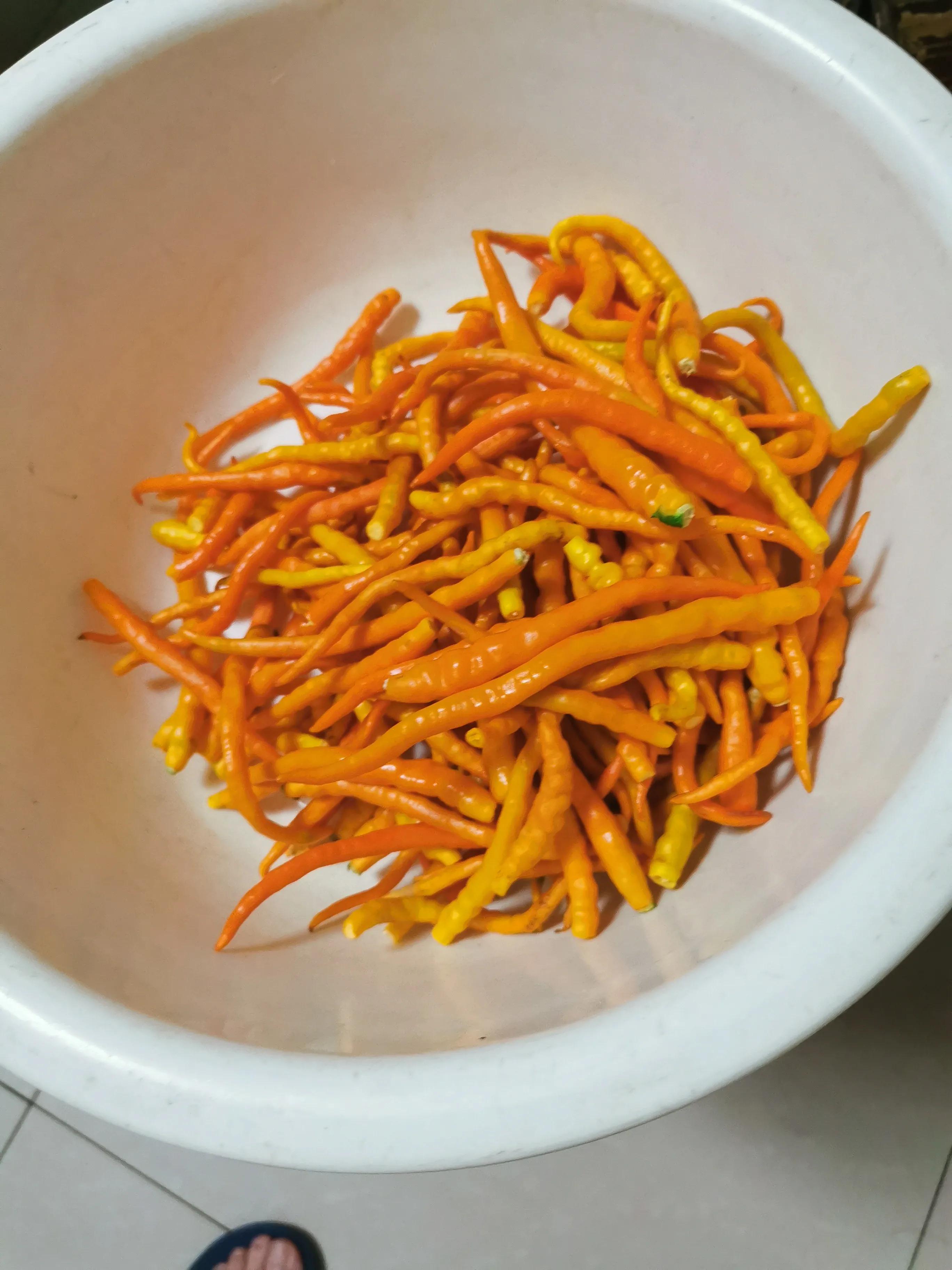 灵魂佐料的做法,灵魂浇汁做法