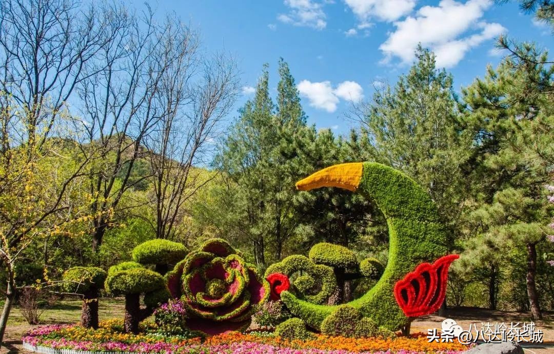 51假期八达岭长城攻略,八达岭长城景区周末几点去不排队