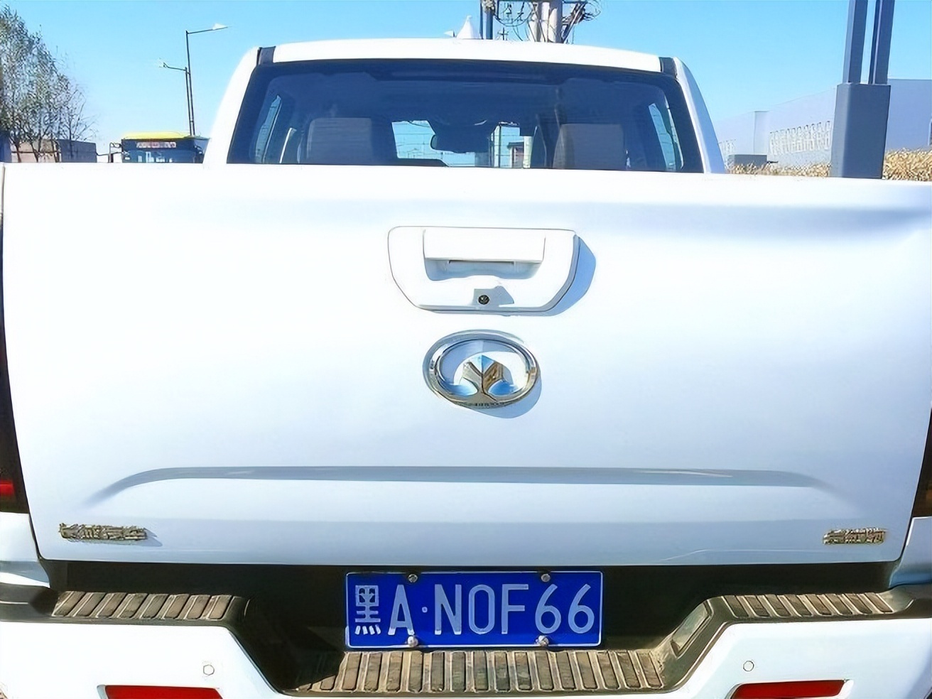 长城炮和金刚炮哪个更值得购买,金刚炮和长城炮选择哪一款