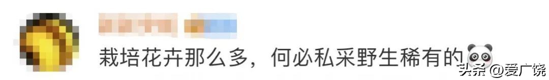 不要买！不要买！不要买！有毒