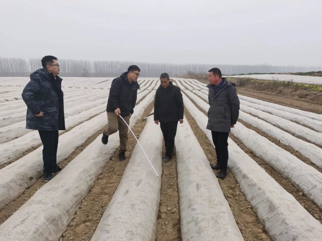 一只薯种出万元田！“*党**建+特色农业”让资源贫乏村“点”亮“薯”光大道