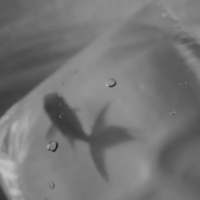 高级朋友圈背景图男,高级朋友圈背景图治愈