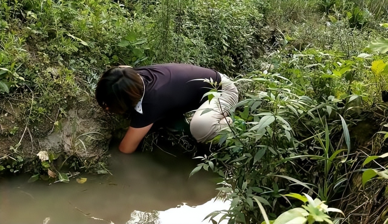 在河边掏龙虾洞掏出来一堆龙虾,河岸边的洞