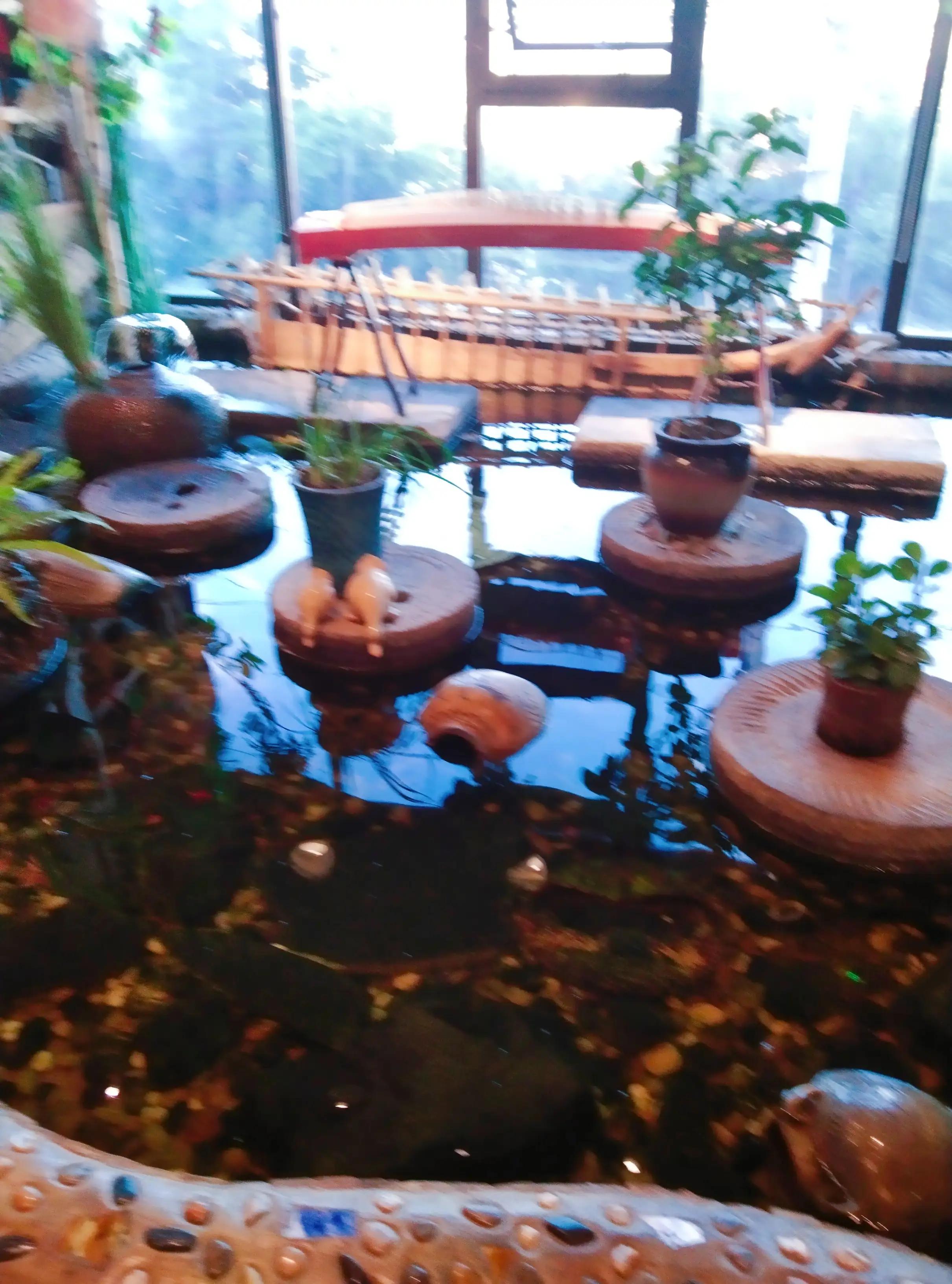 薇薇相约四季,相约四季原创