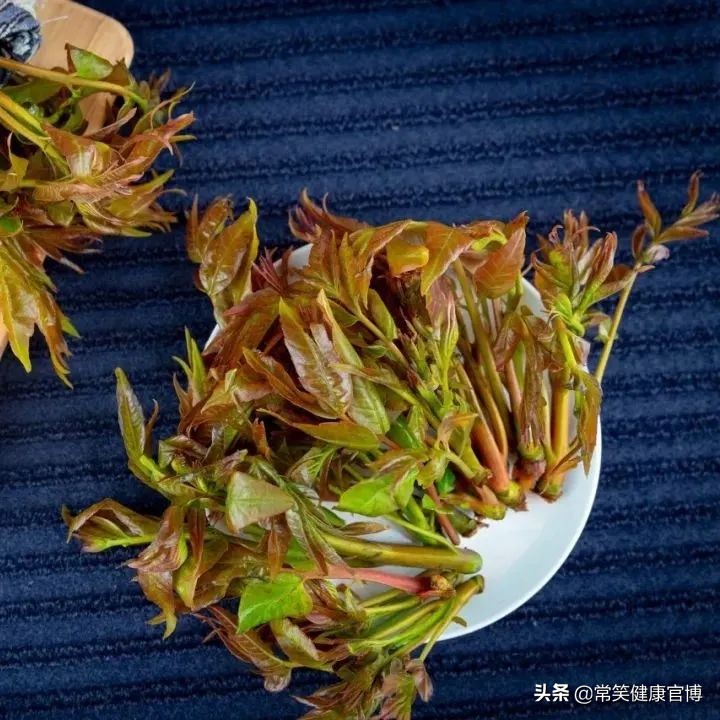 春天值得尝的4种野菜新鲜又营养,春天必吃四种野菜