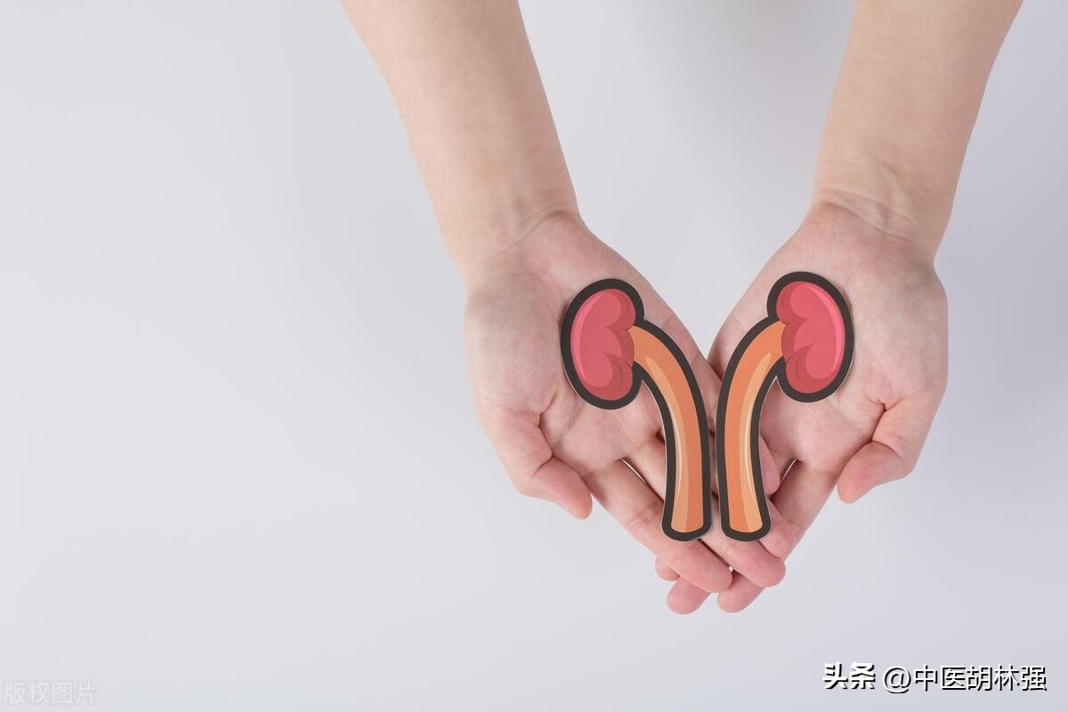 脾不好便稀，肾不好腰疼，肝不好腿乏，三招养好你的脾肾肝！