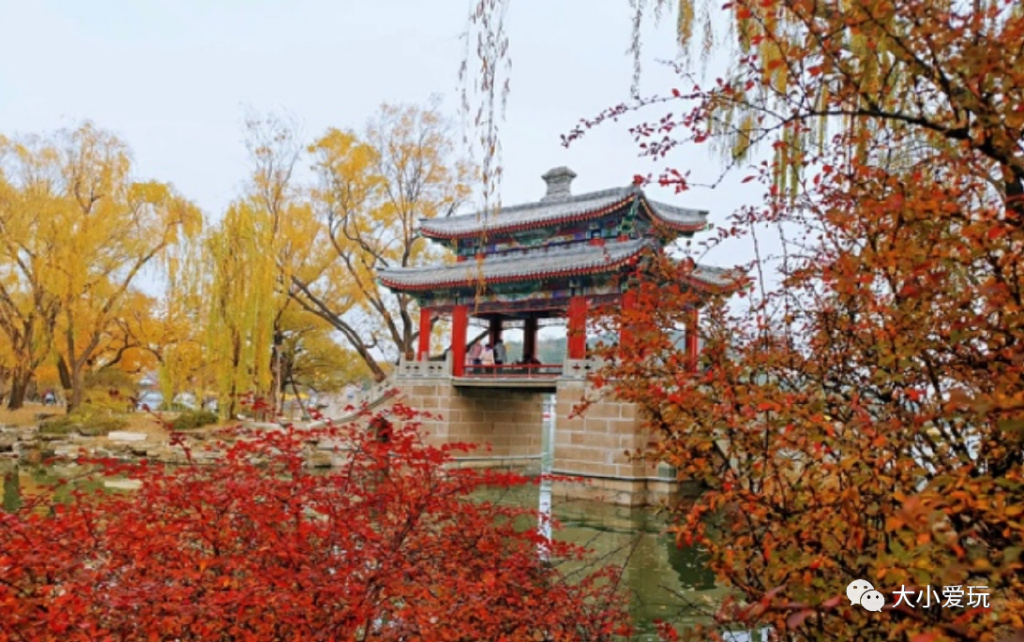 北京赏秋打卡地银杏大道,北京10条最值得打卡赏红叶线路