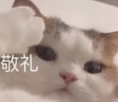 新媒体运营必备的十大工具,新媒体运营工具动画视频