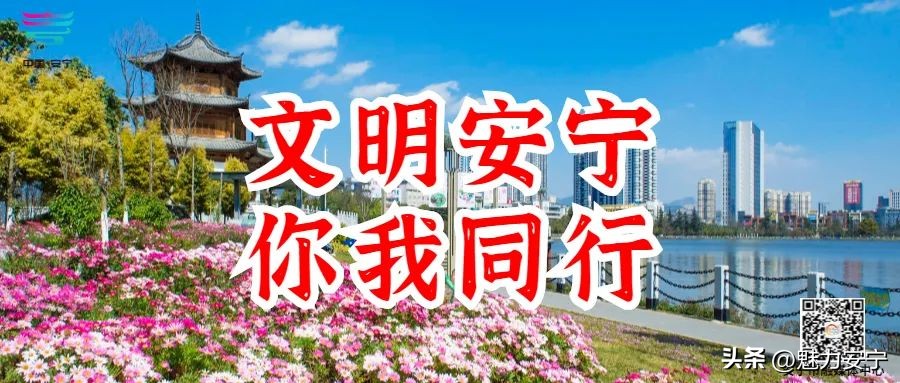 绿茵场上的天才少年,绿茵场上的足球少年