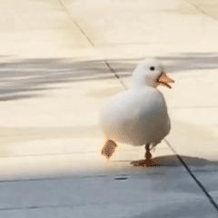 不想和我玩游戏你就直说表情包,跟你聊天还不如跟客服聊天表情包