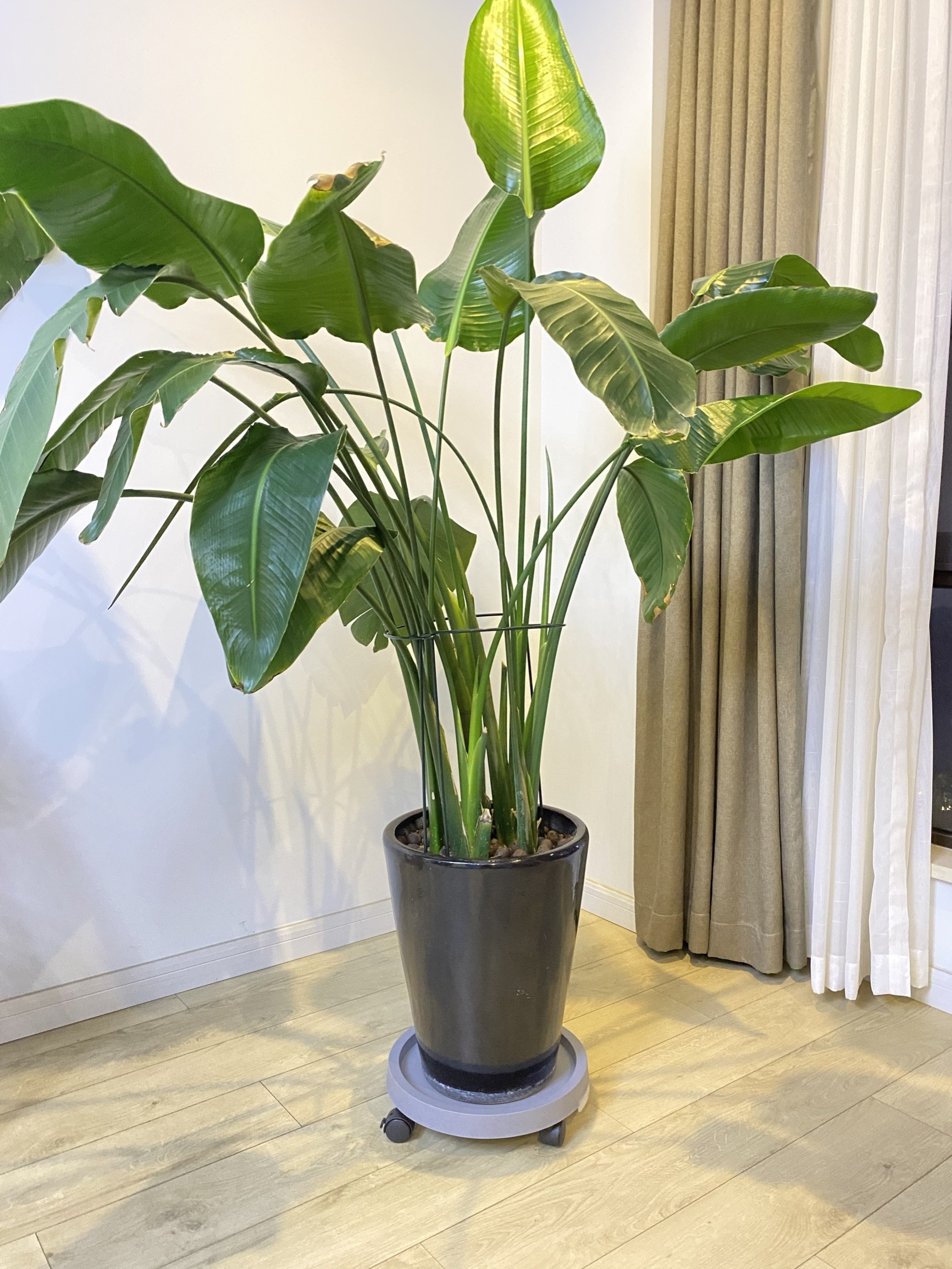 结婚3年,最佩服老婆置办的这10个小物件,让我少挨不少骂