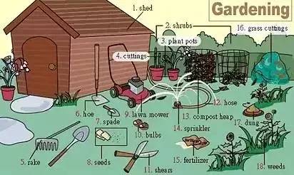 英语高频词汇听力,雅思听力场景词汇