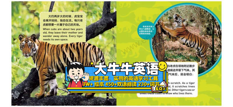 Tigers3~6岁英语启蒙绘本