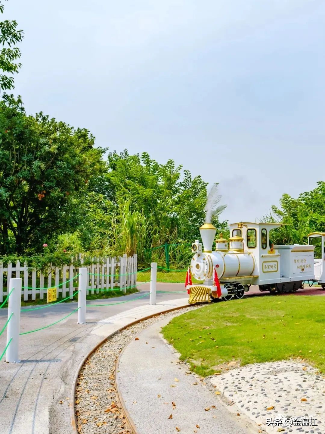 五一温江有什么活动,五一来温江