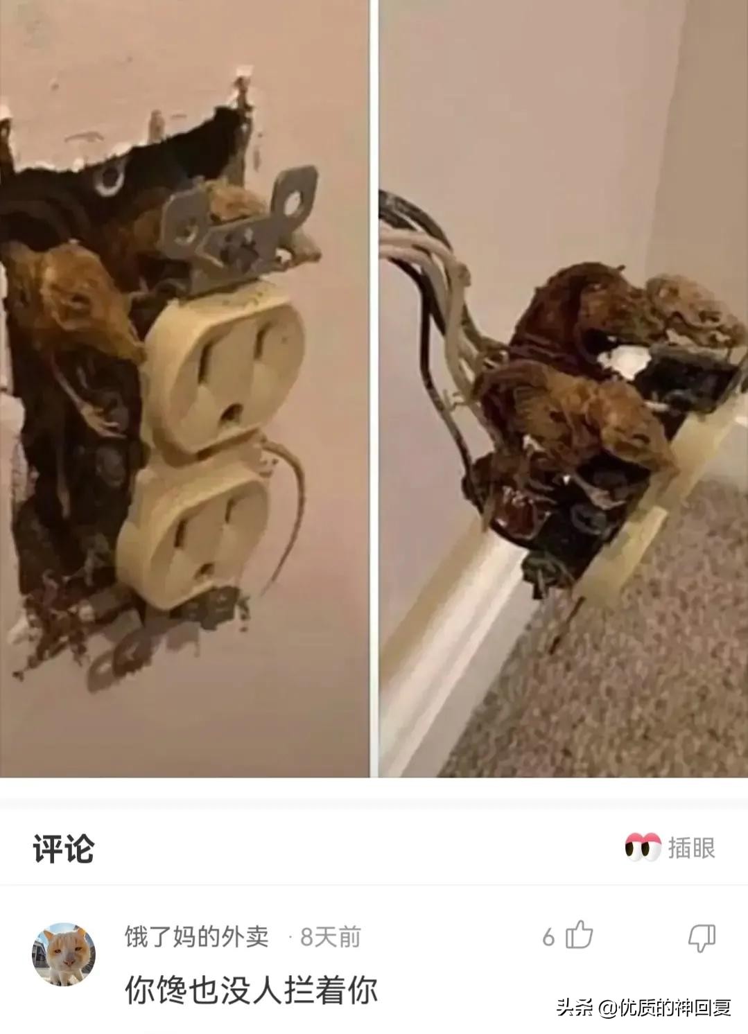 你知道衣服上的字什么意思吗,女生衣服上的字母含义