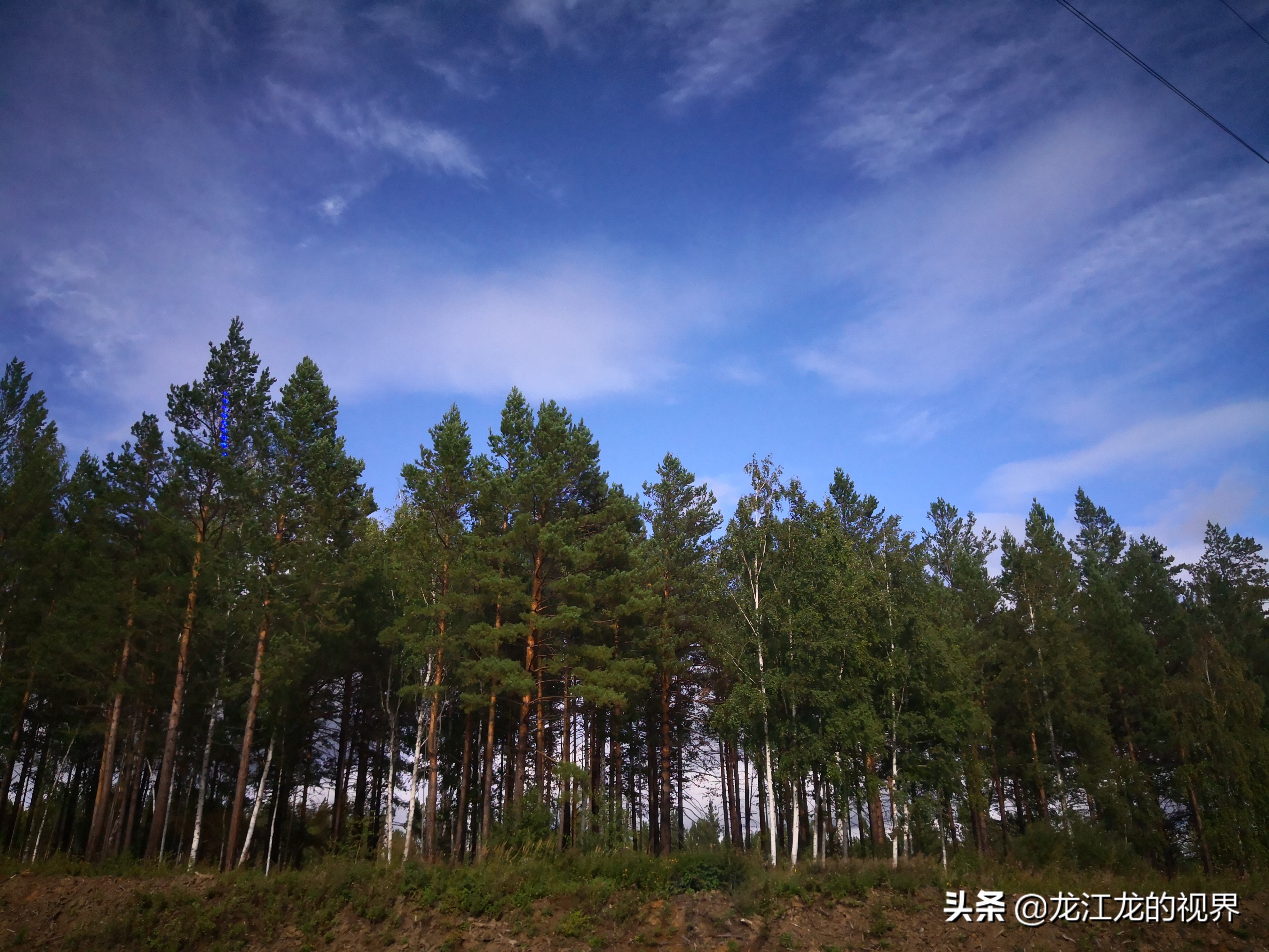 龙行天下北京游,龙行天下之北京
