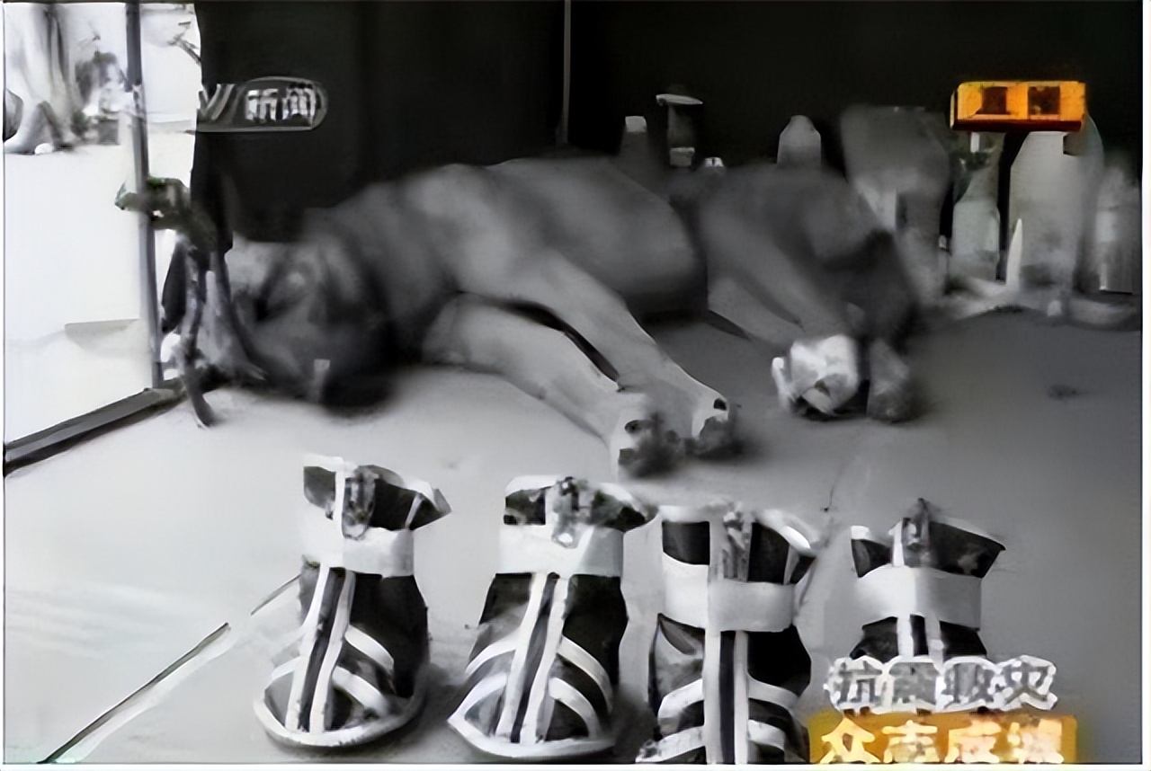 汶川地震搜救的事件,汶川地震惨烈救援人员回忆哭了