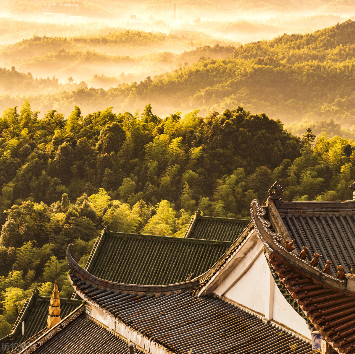 教育信息化与家校合作,基于信息化环境下的家校互动