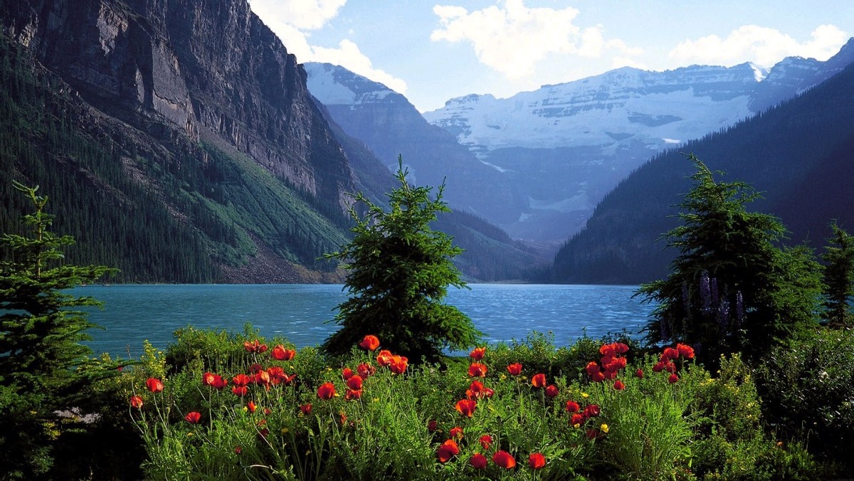 如何开具全国范围内的无犯罪证明,欧洲无犯罪证明怎么开