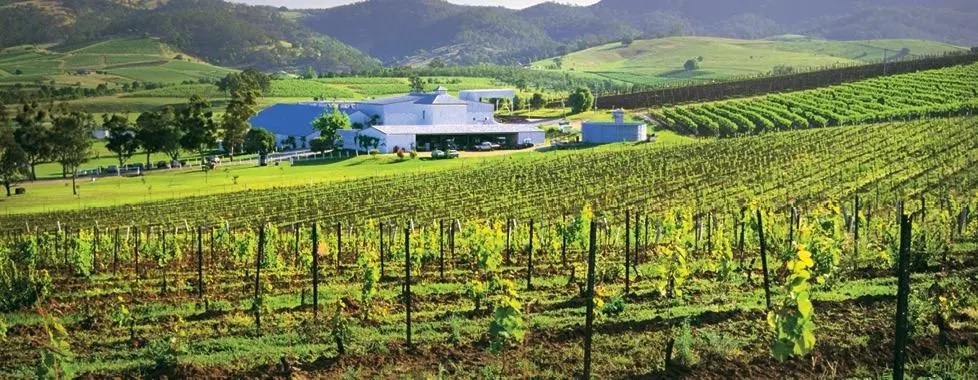 澳大利亚巴罗萨葡萄酒产区,huntervalley葡萄酒