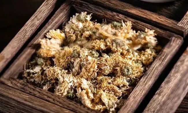 好喝的菊花茶推荐,爱喝茉莉菊花茶