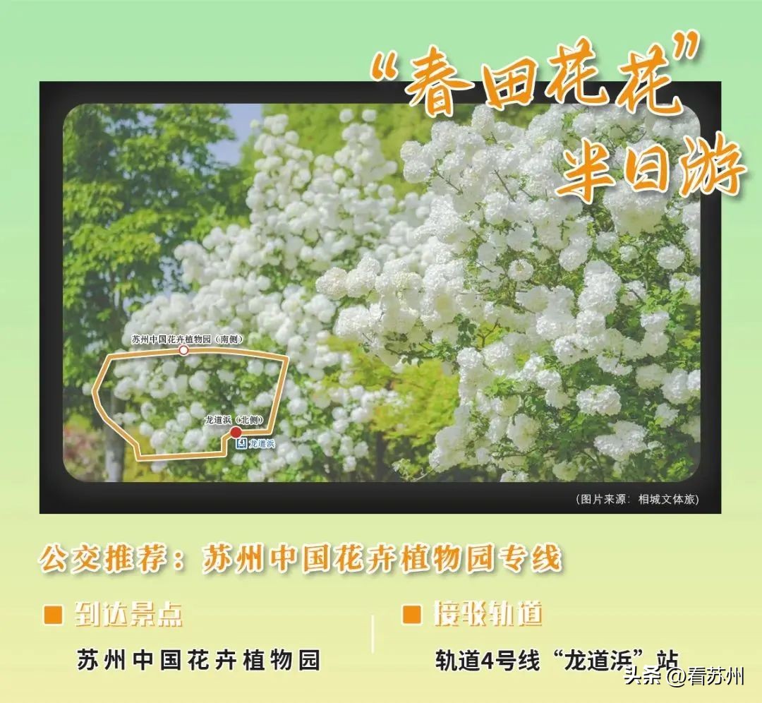 单位可定制通勤公交方案,上班通勤可上公交的工具车