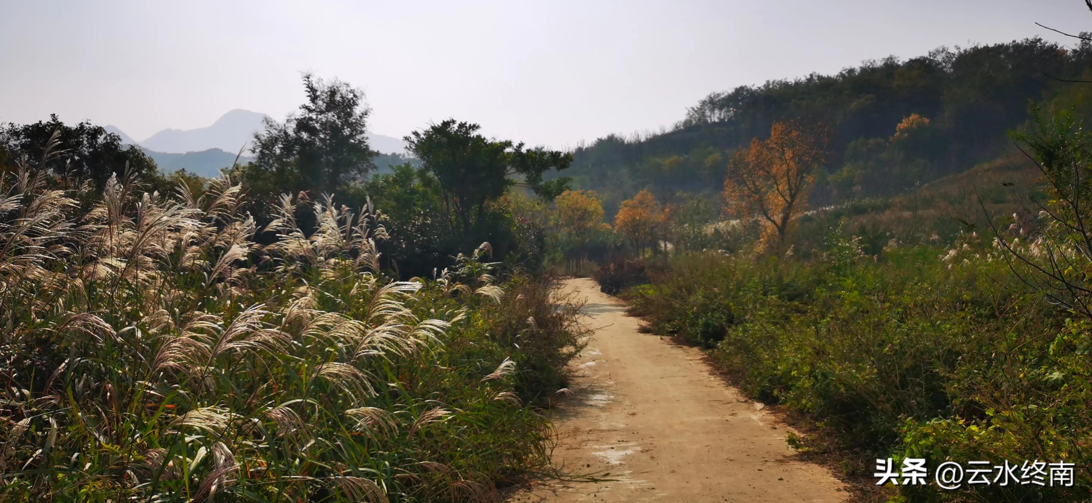 享个清福！到少有人知的峙峪看看漫山红叶，喝喝住山人清茶