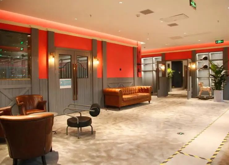 快乐小马马术俱乐部,北京朝阳公园马术俱乐部快乐小马