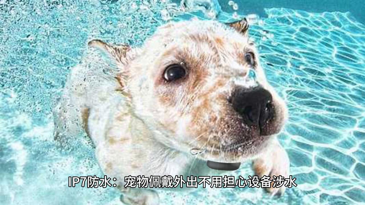 宠物防走丢gps,狗狗猫咪防走丢追踪器